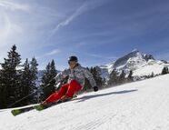 Bild vom Skigebiet Garmisch-Classic / Hausberg-Kreuzeck