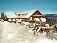 Bild vom Skigebiet Almblicklifte Strallegg