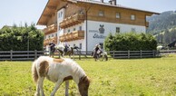 zur Vergrößerung klicken