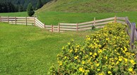 zur Vergrerung klicken