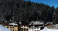 Wildbach