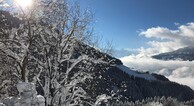 zur Vergrerung klicken