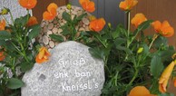 zur Vergrößerung klicken