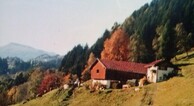 zur Vergrerung klicken