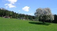 zur Vergrößerung klicken