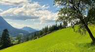 zur Vergrößerung klicken