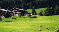 zur Vergrerung klicken
