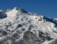Bild vom Skigebiet Skiparadies Zauchensee - Flachauwinkl