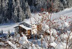 Bild von der Unterkunft