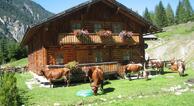 Thurnhofhütte