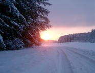 Bild vom Skigebiet Sonnenbühl