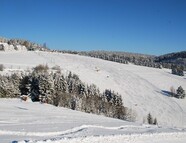 Bild vom Skigebiet Postwiesen-Neuastenberg