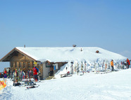 Bild vom Skigebiet Andelsbuch/Bezau- Niedere