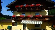 Pension Wald