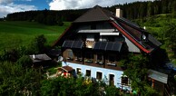 Sonnenblumenhof