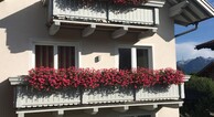 zur Vergrerung klicken