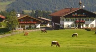 zur Vergrößerung klicken