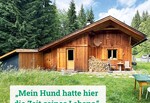 Bild von der Unterkunft