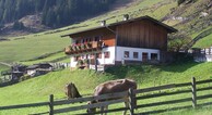 zur Vergrößerung klicken
