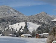 Bild vom Skigebiet Moosberglift Weißenbach