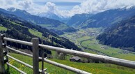 zur Vergrößerung klicken