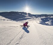 zur Vergrößerung klicken.