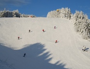 Bild vom Skigebiet Postwiesen-Neuastenberg