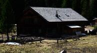 Untergaunitschalm