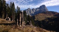 zur Vergrößerung klicken