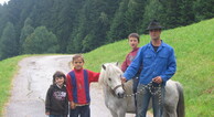 zur Vergrerung klicken