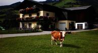 Rieserhof Ferienwohnung Meißnitzer