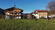 Feriengut Fingerhof