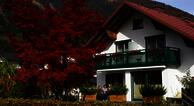 Haus Gollner