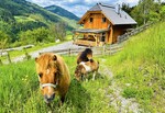 Bild von der Unterkunft