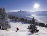 Bild vom Skigebiet Patscherkofel Innsbruck