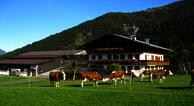 Bauernhof Oberhochst&auml;tt - Fam. Schuster