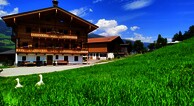 Bio Bauernhof Oberm&uuml;hle