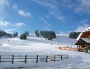Bild vom Skigebiet Sommeralm - Pirstingerkogellift