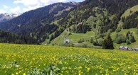 zur Vergrerung klicken