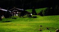 Pflüglhof