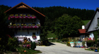 Pferde- und Schafhof Klinser