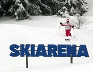 Bild vom Skigebiet Steinach