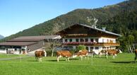 Bauernhof Oberhochstätt - Fam. Schuster