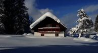  Ferienhaus Abtenau-Fischbach Alm
