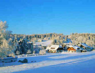 Bild vom Skigebiet Kniebis - Freudenstadt