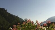 zur Vergrerung klicken