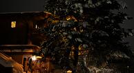 Alpenperle