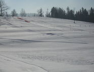 Bild vom Skigebiet Skilift Petersthal