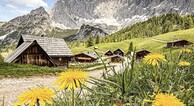 zur Vergrößerung klicken