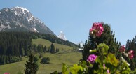 zur Vergrerung klicken